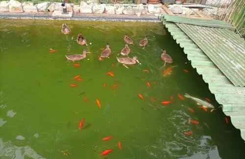 Villa del Parco - Photo 28