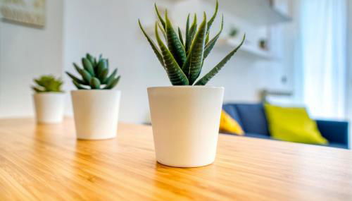 GuestHost - Casa Certosa, bilocale a pochi minuti da Rho Fiera - Foto 2