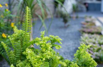 Majestic Seaview Villa - Foto 10