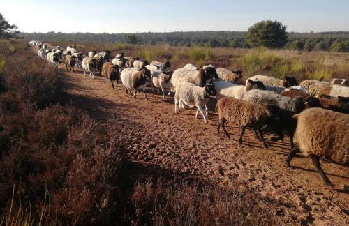 Ferienwohnung zwischen Wald und Reben - Foto 23