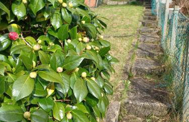 Mount Pleasant Retreat - Foto 20