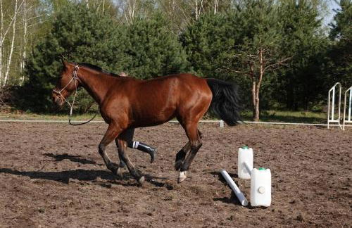 Gîte à la campagne groupe et famille 3 chambres Espace Jacuzzi hammam SPA - Photo 23