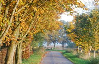 Ferienwohnung im Grünen - Hof Blohme - Foto 30