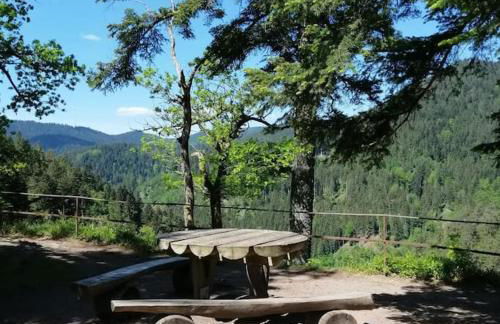 Ferienwohnung Schwarzwaldblick - Photo 30