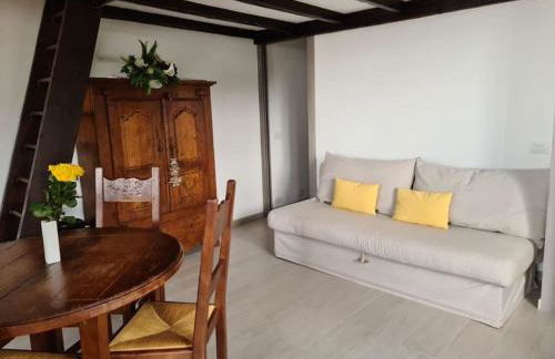 Grand studio 35 m2 avec mezzanine et vue mer - Foto 8