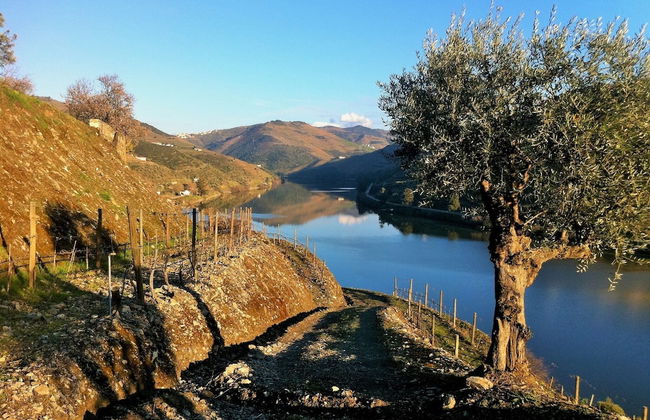 Quinta da Marka - Photo 63