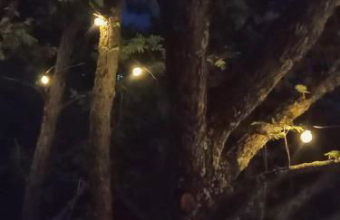 Casa nei 3 alberi, Molise - Foto 13