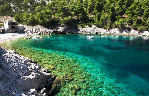 Robinson Srdelica - Foto 14