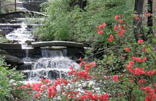 Apartments in the Heart of Canton - Foto 49