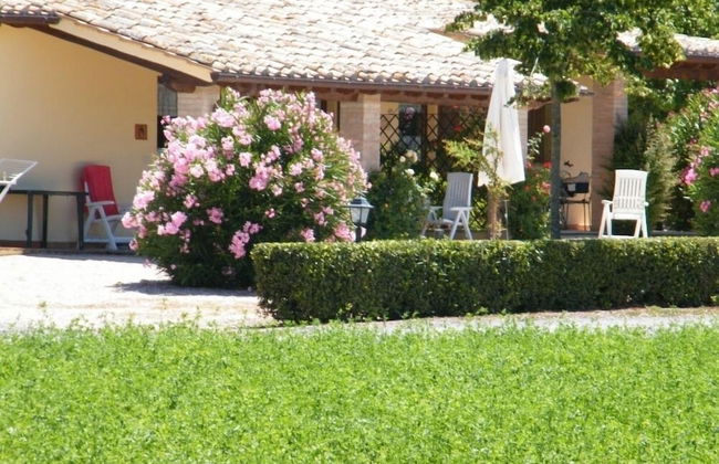 Agriturismo Casale del Contadino - Foto 34