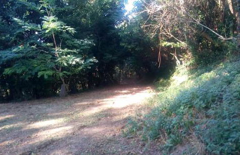 Casolare Toscano - Foto 52