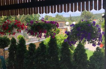 Apartments Ivanković - Photo 39