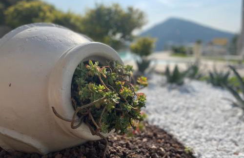 CHALET VELA Natura e Relax - Foto 54