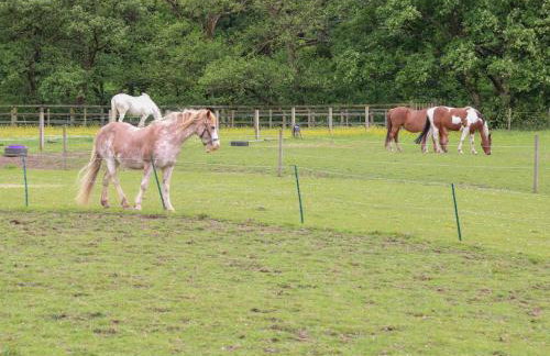 Bullace Barn - Foto 46
