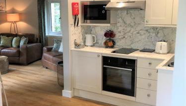 Breckland Lodge 2 with Hot Tub - Foto 4, stove, pet friendly, minibar