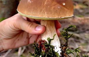 Schönes Apartment / Ferienwohnung am Regen - Foto 29