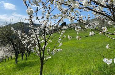 La Casetta in Costa - Foto 26