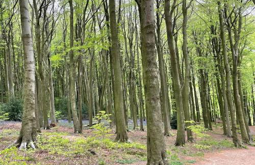 Number 26 Van Dyk Village - Foto 35