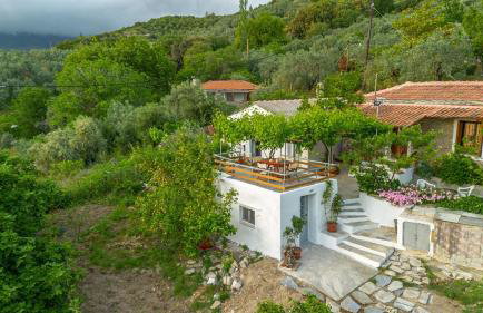 Zelis In Pelion Greece - Foto 30