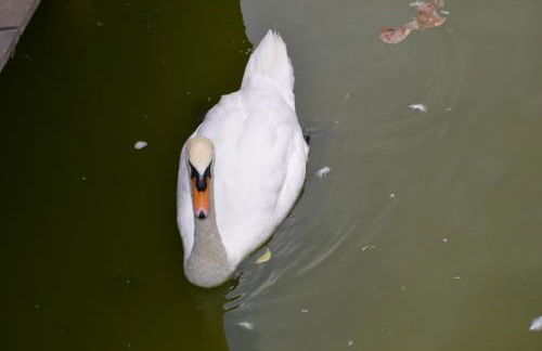 FABULOSO Penthouse LAS PALMAS - Foto 48