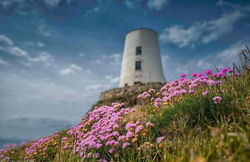 Apartment/Flat 3 - Foto 47