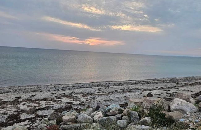 5 Person Holiday Home in Store Fuglede - Foto 25