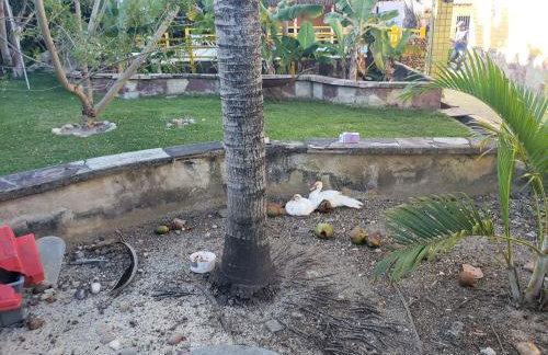 Itaparica - Vera Cruz 12 pessoas - Foto 67