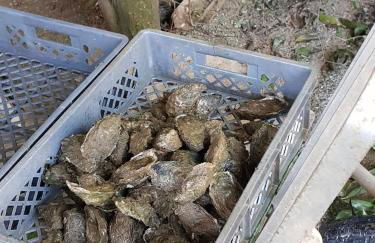 Apartment Sunshine - Golfplayer and Holidays - Foto 23