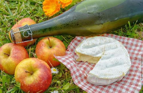 La Pause du Perche - gîte au pied de la forêt - Foto 27
