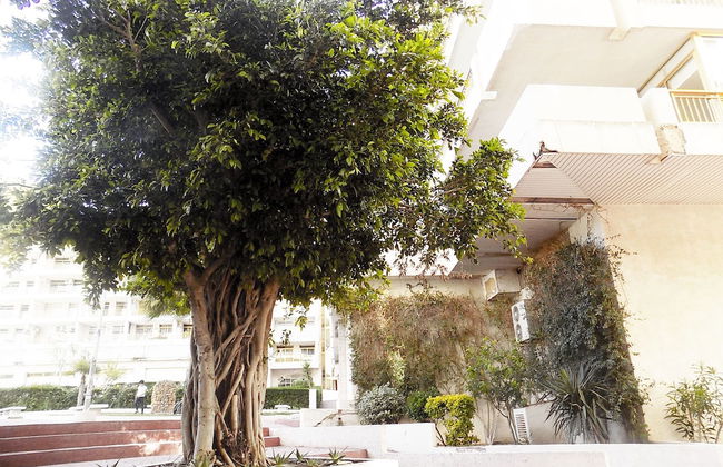 Apartsalou Lea - Foto 15