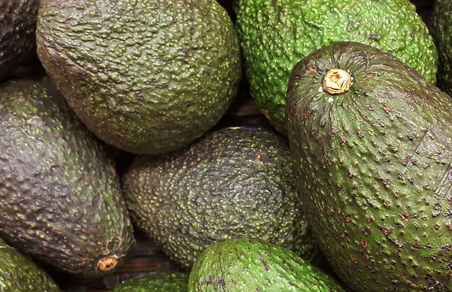 Tour in Frigiliana - Photo 7