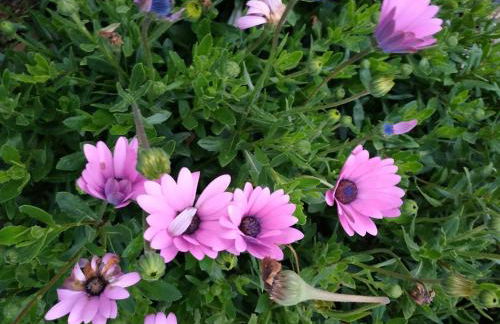 A Casa dos Avós - Alojamento Local - Foto 55