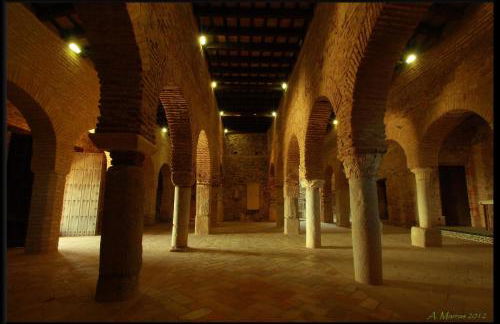 Apartamento Rural Las Palmeras - Foto 10