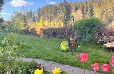 HAUS AM SEE - Natur Pur - Foto 21