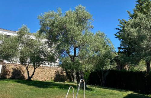 El Molino de La Quinta - Photo 3