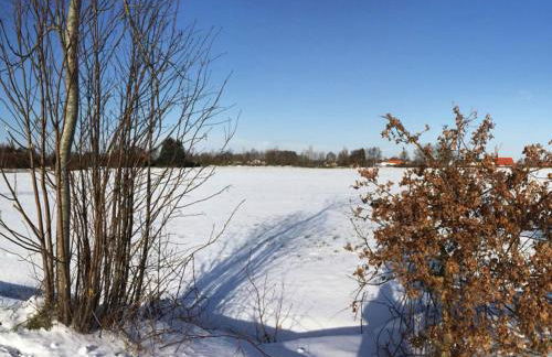 Dandelion Modern Retreat - Foto 29