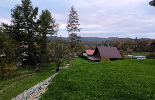 Domki Bieszczadzka Polana - Foto 47