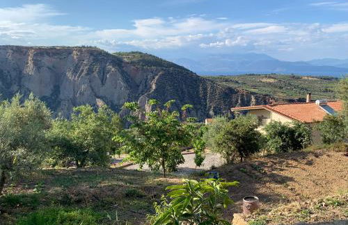 Olive Guest Farm - Foto 51