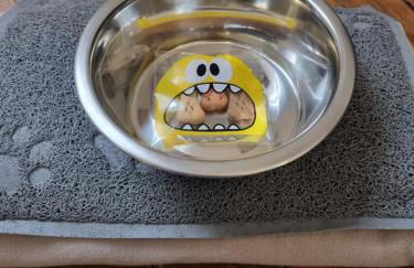 Le Vauban Cambrai - Foto 5