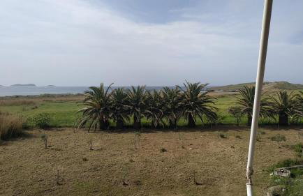 EvgatisBeach Loyskoy 1 - Foto 25