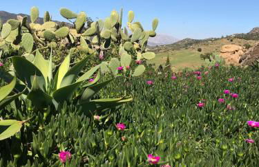 Casa Grande by Rosas Cantares - Foto 7