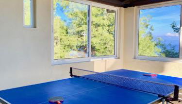 Four Seasons - The Eco Friendly Villa - Foto 4, Garden