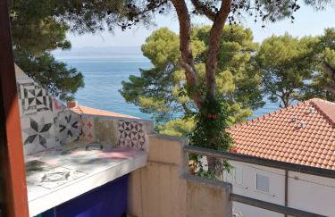 Apartments Misini Dvori - Foto 12