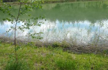 Zacisze Nad Stawami - Foto 35