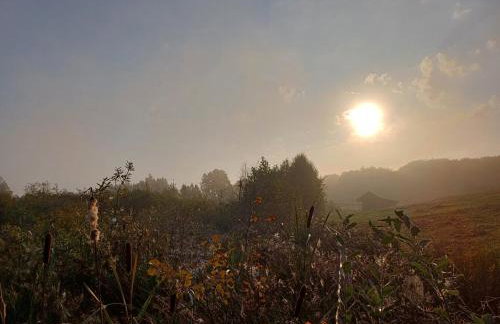 Siedlisko Dwa Żurawie - Uroczy domek nad stawem, z kominkiem, obok konie - Foto 20