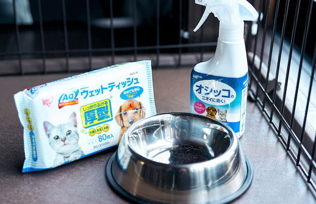 Rakuten STAY x EAGLES - Foto 69