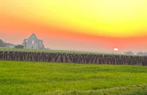 Villa Miha (New house Saint Martin de Ré) - Foto 53