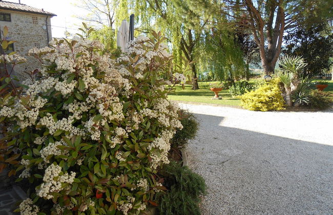 Agriturismo Podere Casenove - Photo 72