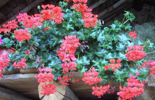 Casa Rogel - Foto 48