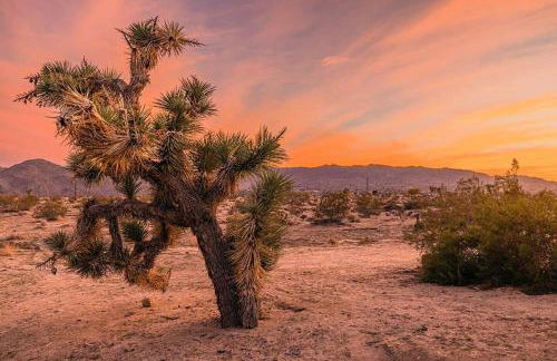 Casa Del Sol-Mountain View 3BR Home w Pool Hot Tub - Foto 36